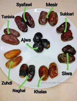 Jenis Kurma / typical of dates