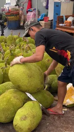 OMG Huge Jackfruit!