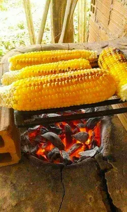 Old Fashioned Gourmet Corn