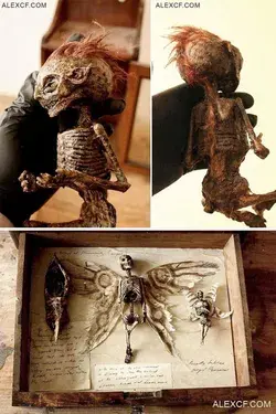 Mumifizierte Wesen die nicht existieren sollten