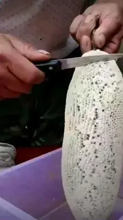 Satisfying Honey