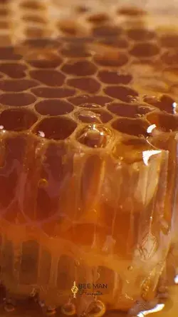 🍯🍯🍯🍯🍯