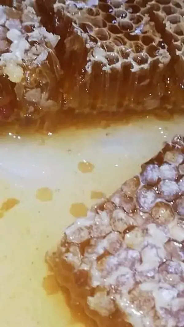 Honey comb