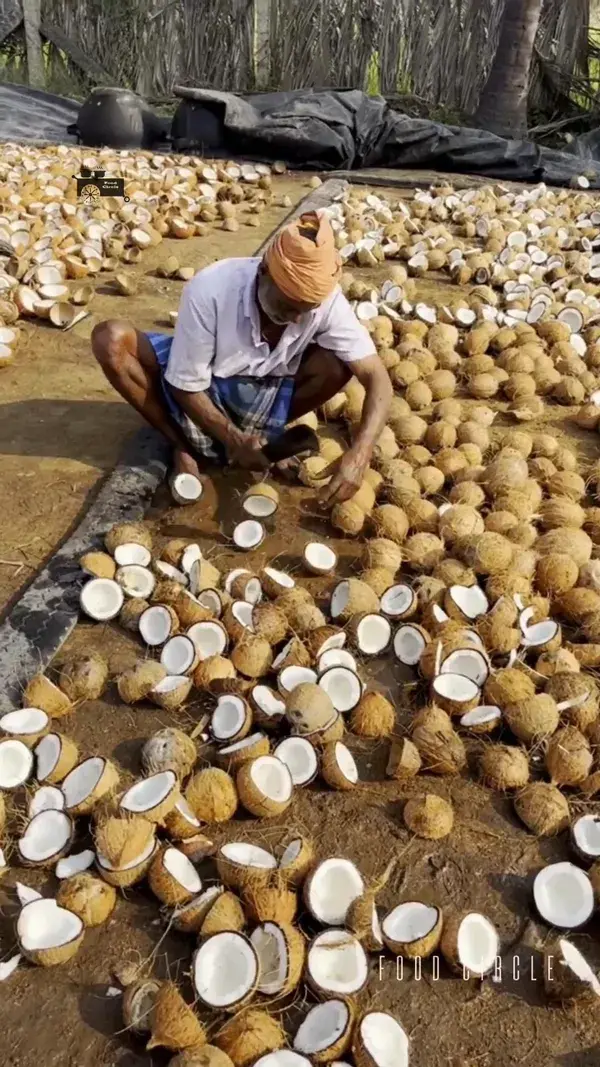 Coir Making Part 2 | Coconut Cutting | Factory Made