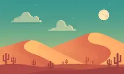 Desert Night Landscape View Illustration