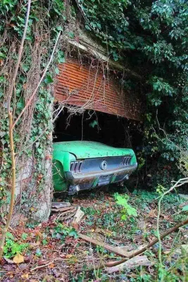 10+ Estranged Locations Where Vehicles Are Abandoned