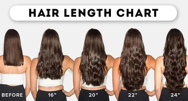 Hair Length Chart 16” - 24”