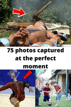 75 photos captured at the perfect moment