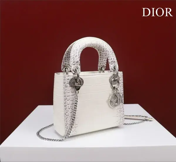 Dior 17×15×7