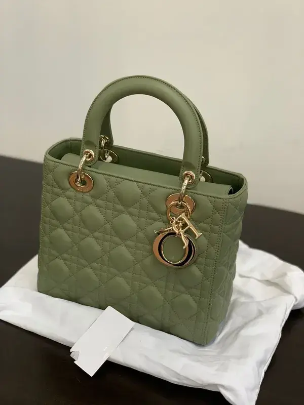 Bag Dior