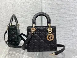 Dior Lady Bag