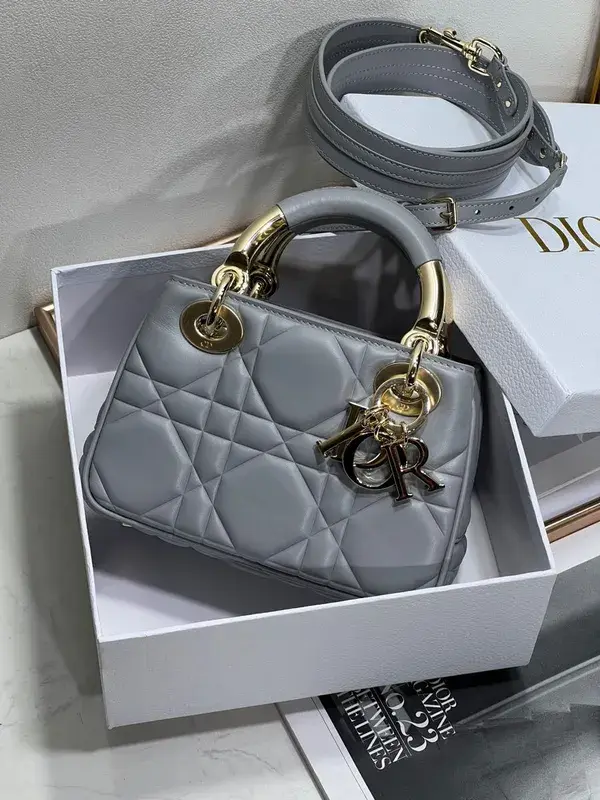 Dior Bag