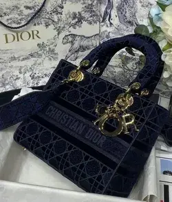 www.thebrandsee.com, Dior winter bag