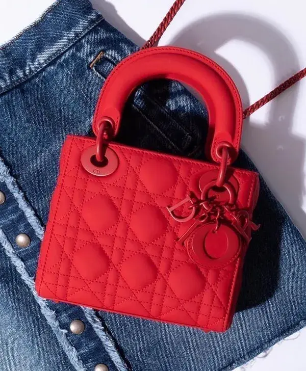 Original Handbag Hardware Protectors for Louis Vuitton Mulberry Chloe – Havre de Luxe