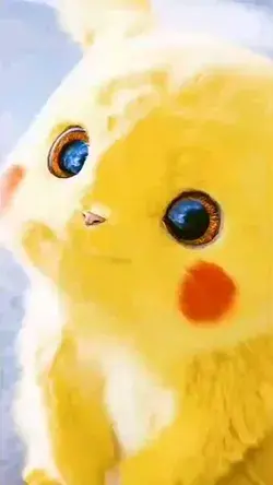 Animation Video | Animation Edit | #animation | #pikachu #bossbaby #spongebob