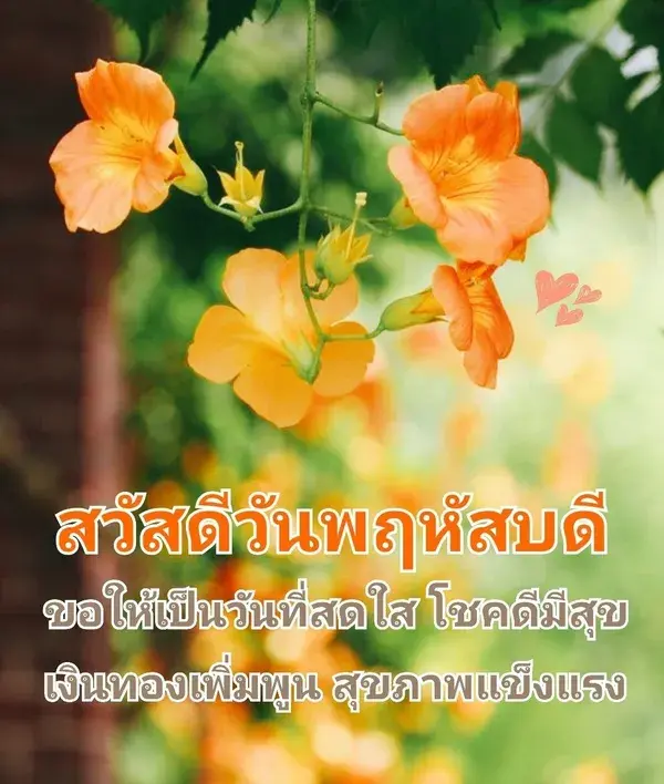 สวัสดีวันพฤหัสบดี Happy Thursday