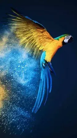 Most Beautiful Parrots on the Planet Earth | Top 10