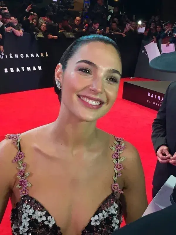 dailygadot.tumblr.com