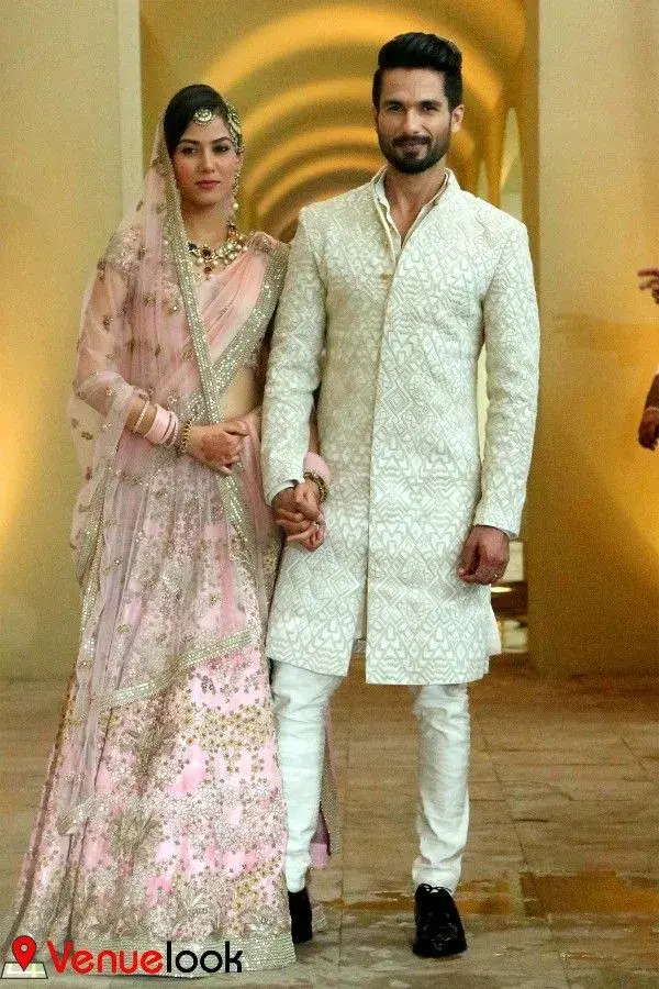 Mira Rajput and Shahid Kapoor