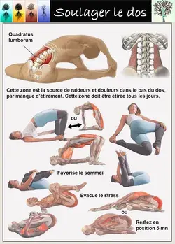 www.yoganatomy.com