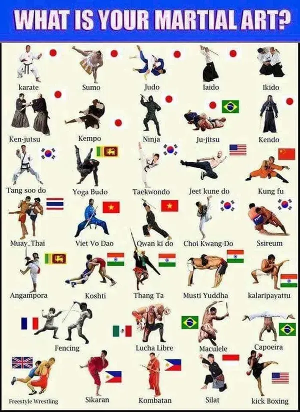 Karate styles around the world