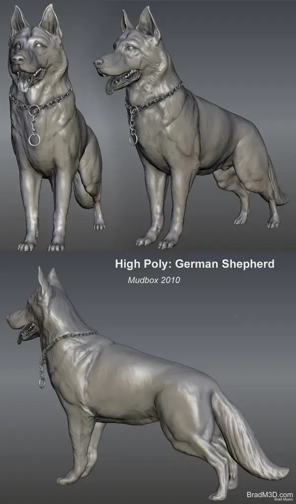 www.polycount.com