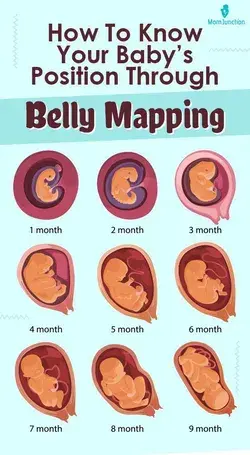 How To Know Your Baby’s Position Through Belly Mapping
