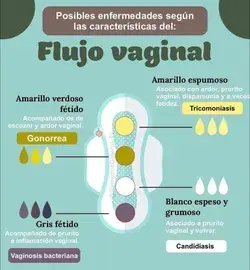 Acaso has analizado tu flujo vaginal?!