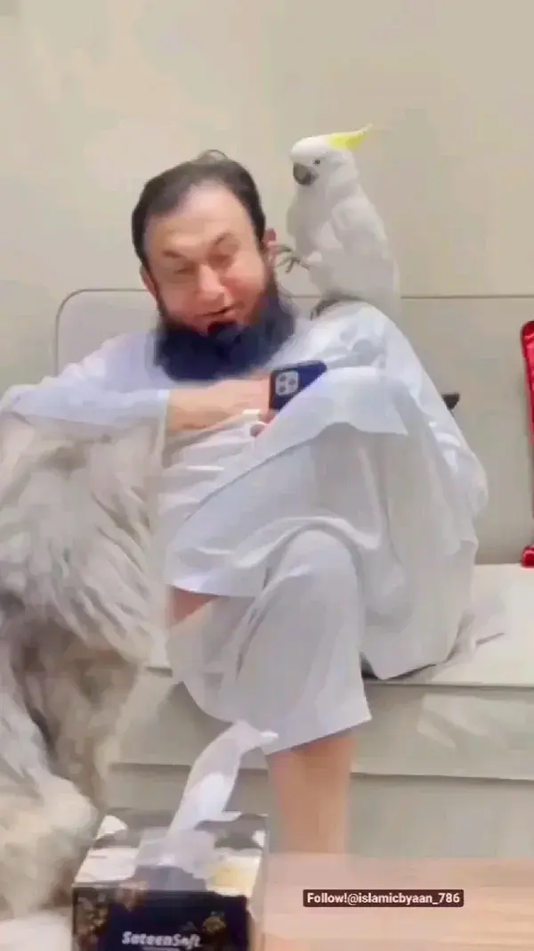 Maulana Tariq Jameel ✨😍🤩❣️