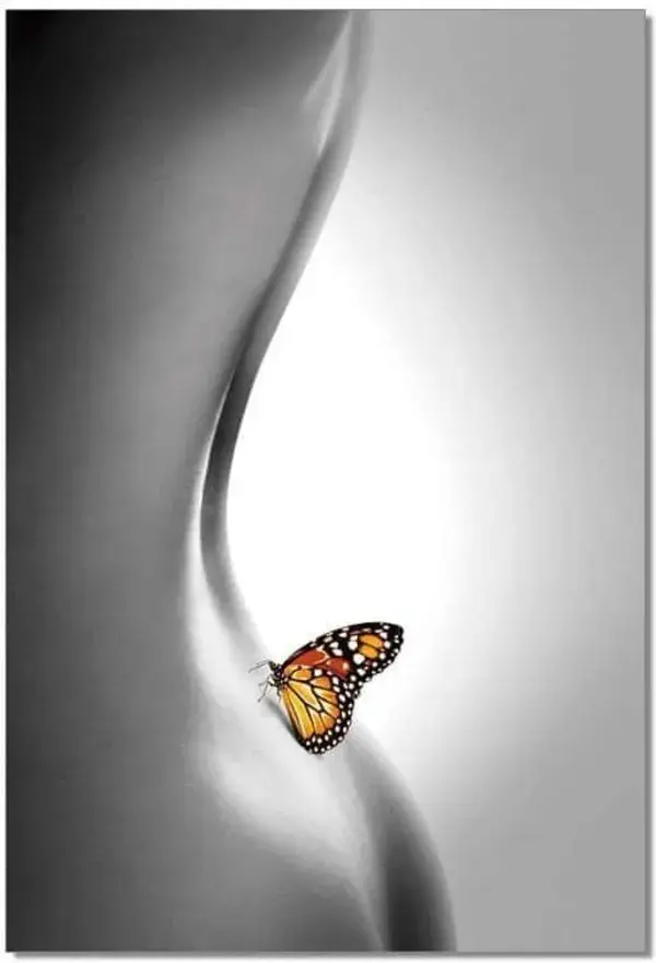 Premium Acrylic Wall Art Butterfly - SB6889 by J&M Furniture