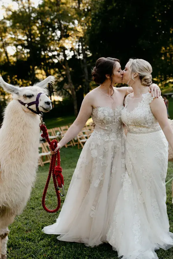 Same-Sex Brides with Llamas at Rustic North Carolina Wedding