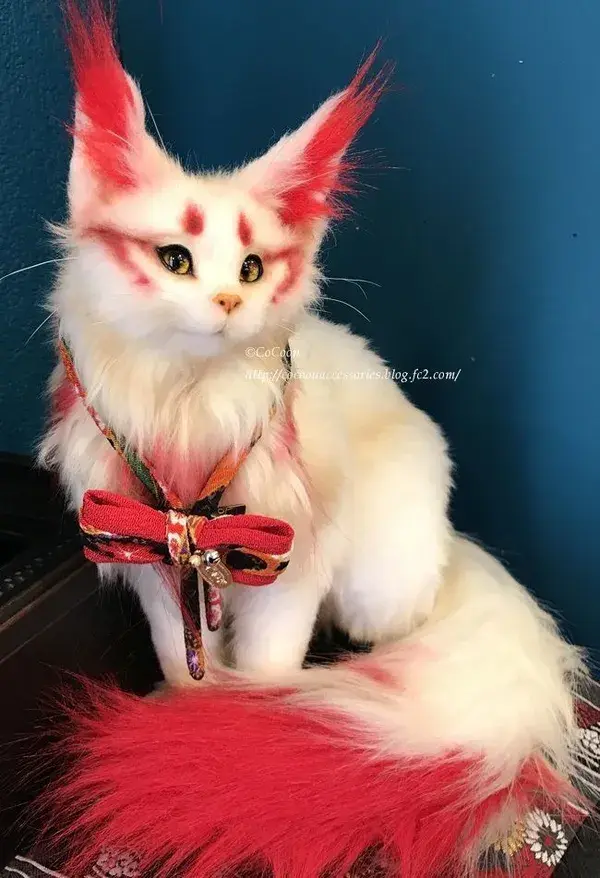 17 of the most beautiful cat breeds in the world  29 Of The Most Beautiful Cats In The World The 10