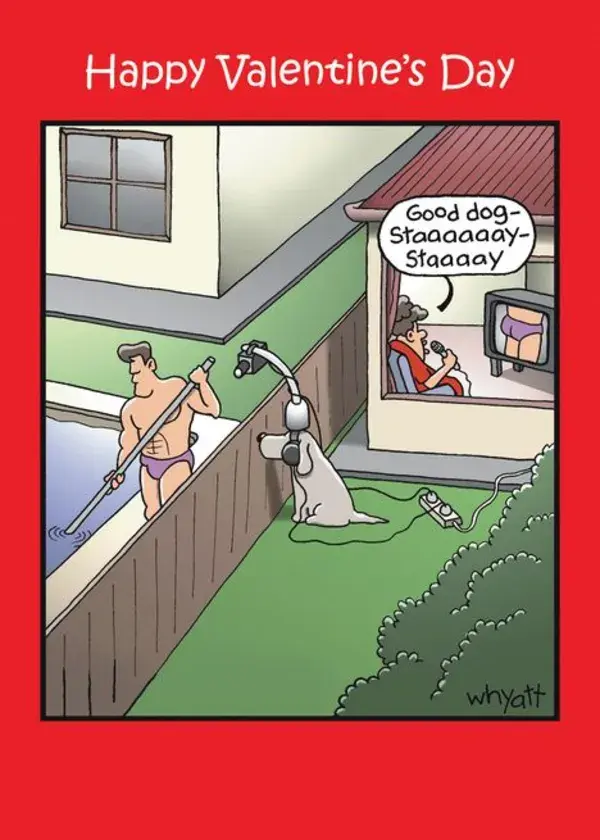 Good Dog Video Spy Adult Humor Valentine&rsquo;s Card