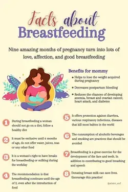 Breastfeeding Facts