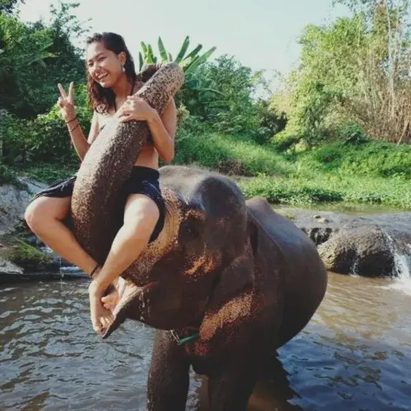 Baby Elephant Can’t Find Girl’s Nose