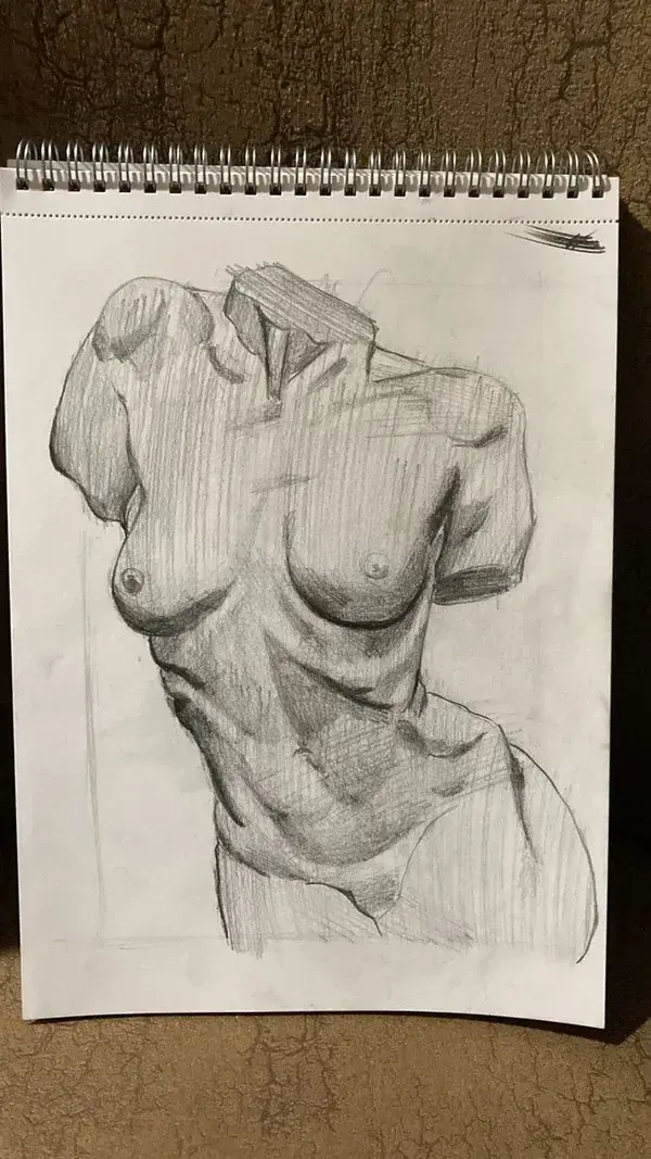 Torso