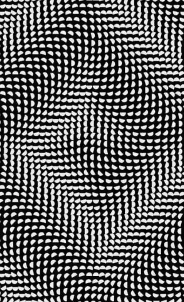 A Geometric illusions