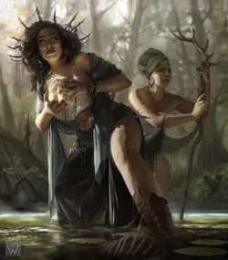 Swamp witches