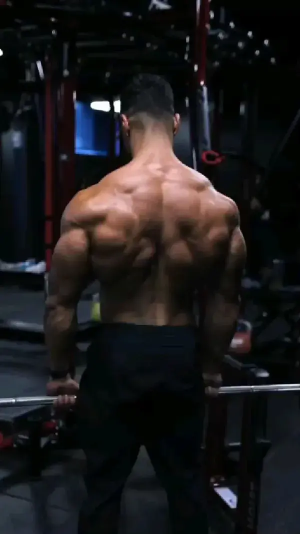 Back workout 💪