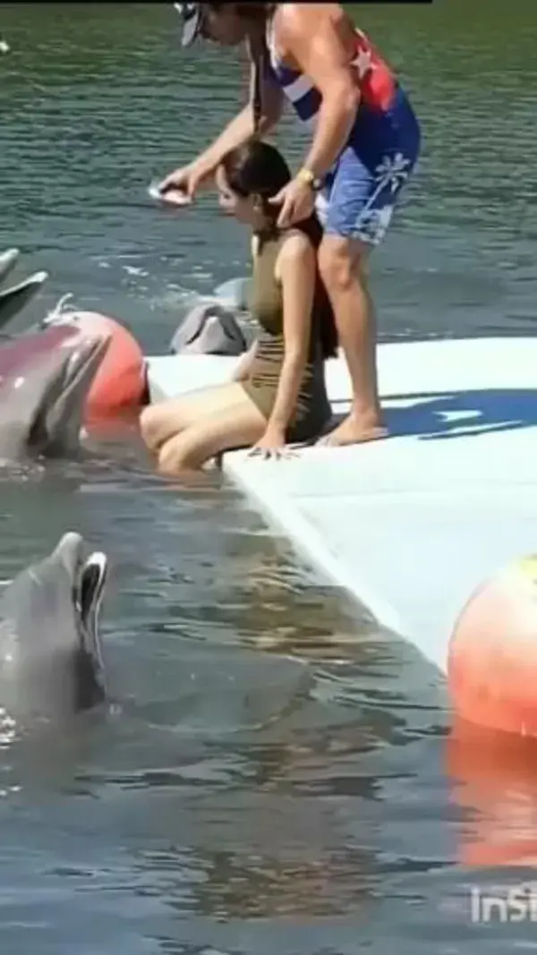 Playing with Dolphin 🐬