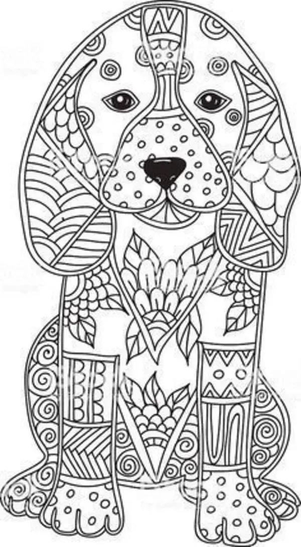 colouring book pages