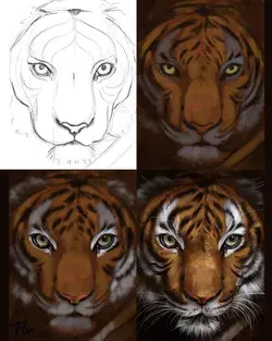 Painting a Tiger in Procreate