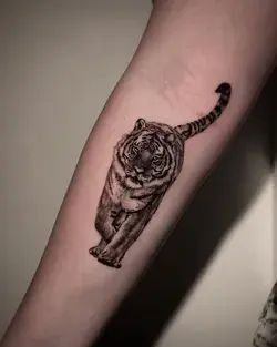 Realistische Black & Grey tattoo van tijger op arm, gezet door True Blue Tattoo Parlour