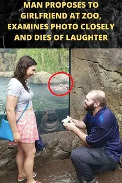 Proposing at zoo