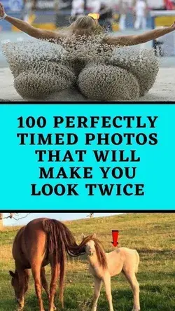 100 Perfectly Timed Photos That Will Make You Look Twice