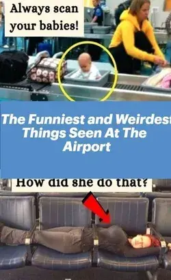 The Funniest and Weirdest Things Seen At The Airport