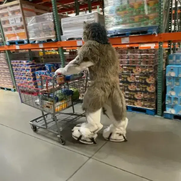 Furry Werewolf fursuit shopping