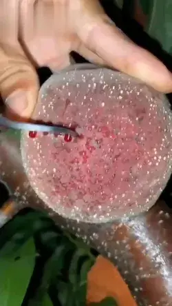 #satisfying #asmr #slime #satisfyingvideos #oddlysatisfying #satisfy #satisfyingslime #asmrsounds