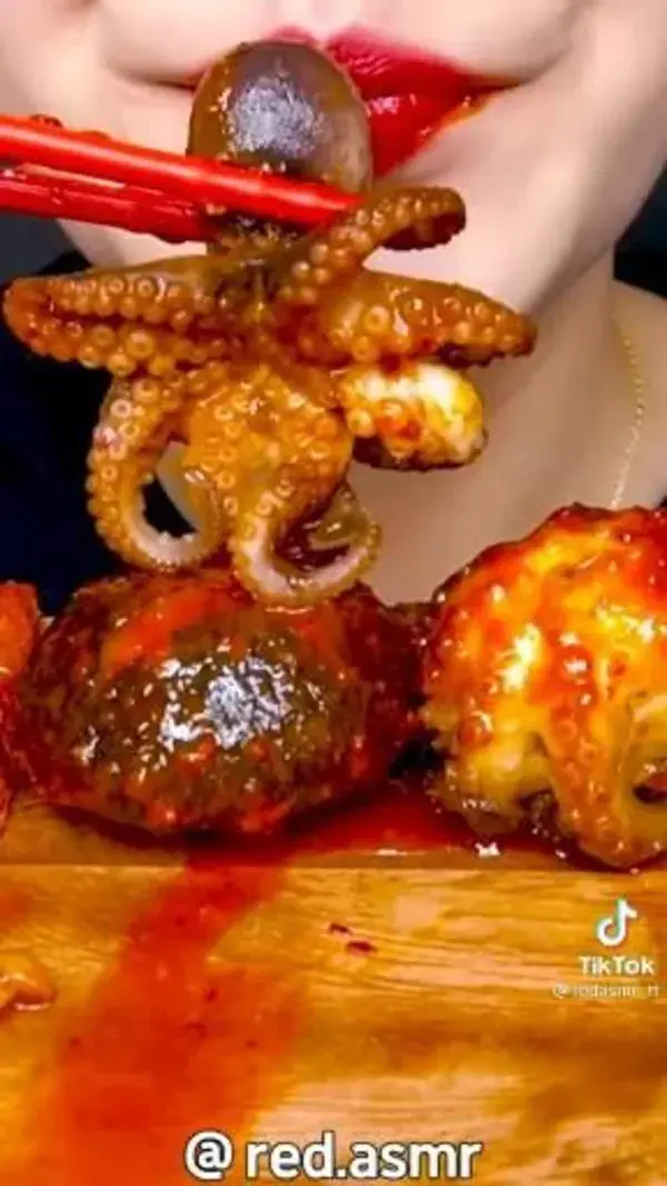 Mukbang 🐙