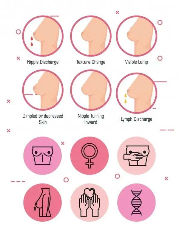 Types of appearances of the breast | Free Vector